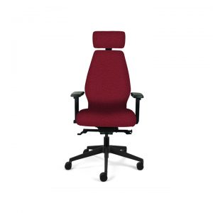 Ergonomic Desk Chair (High Back)