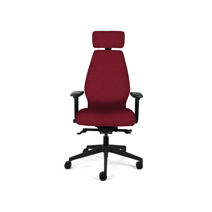 Ergonomic Desk Chair (High Back)