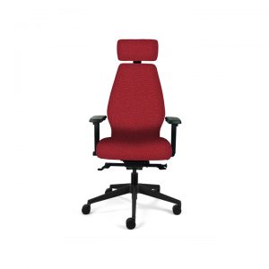 Ergonomic Desk Chair (High Back)