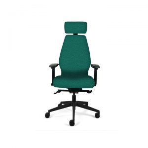 Ergonomic Desk Chair (High Back)