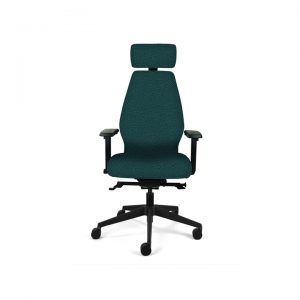 Ergonomic Desk Chair (High Back)