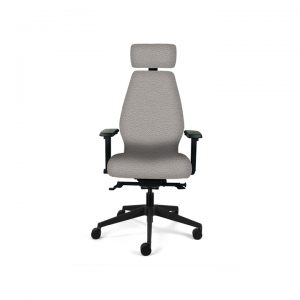 Ergonomic Desk Chair (High Back)