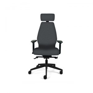 Ergonomic Desk Chair (High Back)