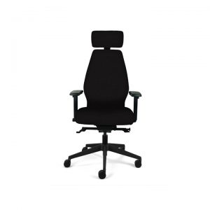 Ergonomic Desk Chair (High Back)