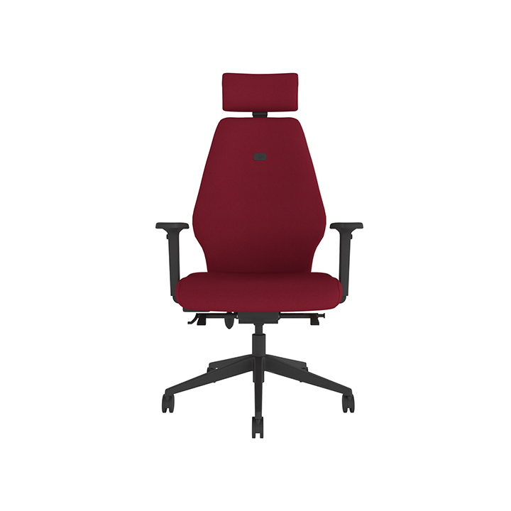Ergonomic Desk Chair (Medium Back)