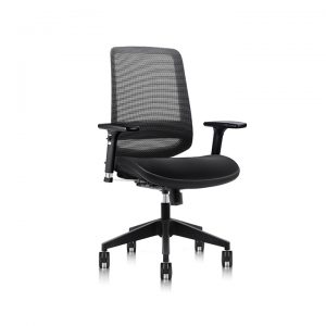 C19 Ergonomic Mesh Chair