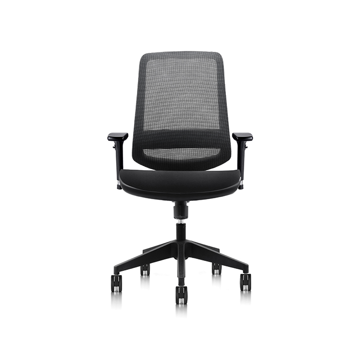 C19 Ergonomic Mesh Chair
