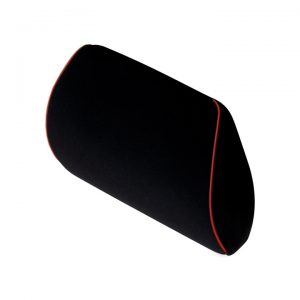 Standard Back Support