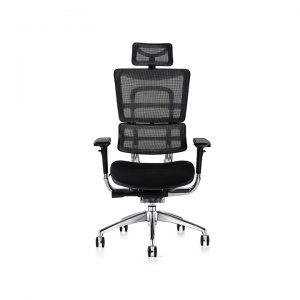 i29 Ergonomic Mesh Chair