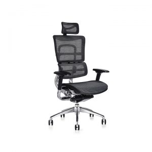 i29 Ergonomic Mesh Chair