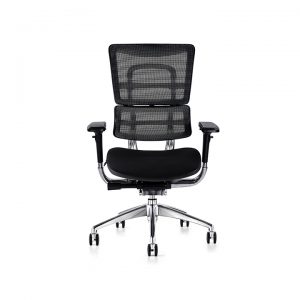 i29 Ergonomic Mesh Chair