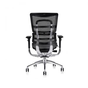 i29 Ergonomic Mesh Chair