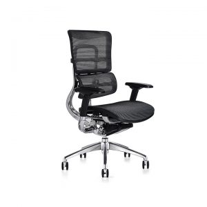 i29 Ergonomic Mesh Chair